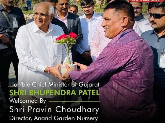 anand-pravin